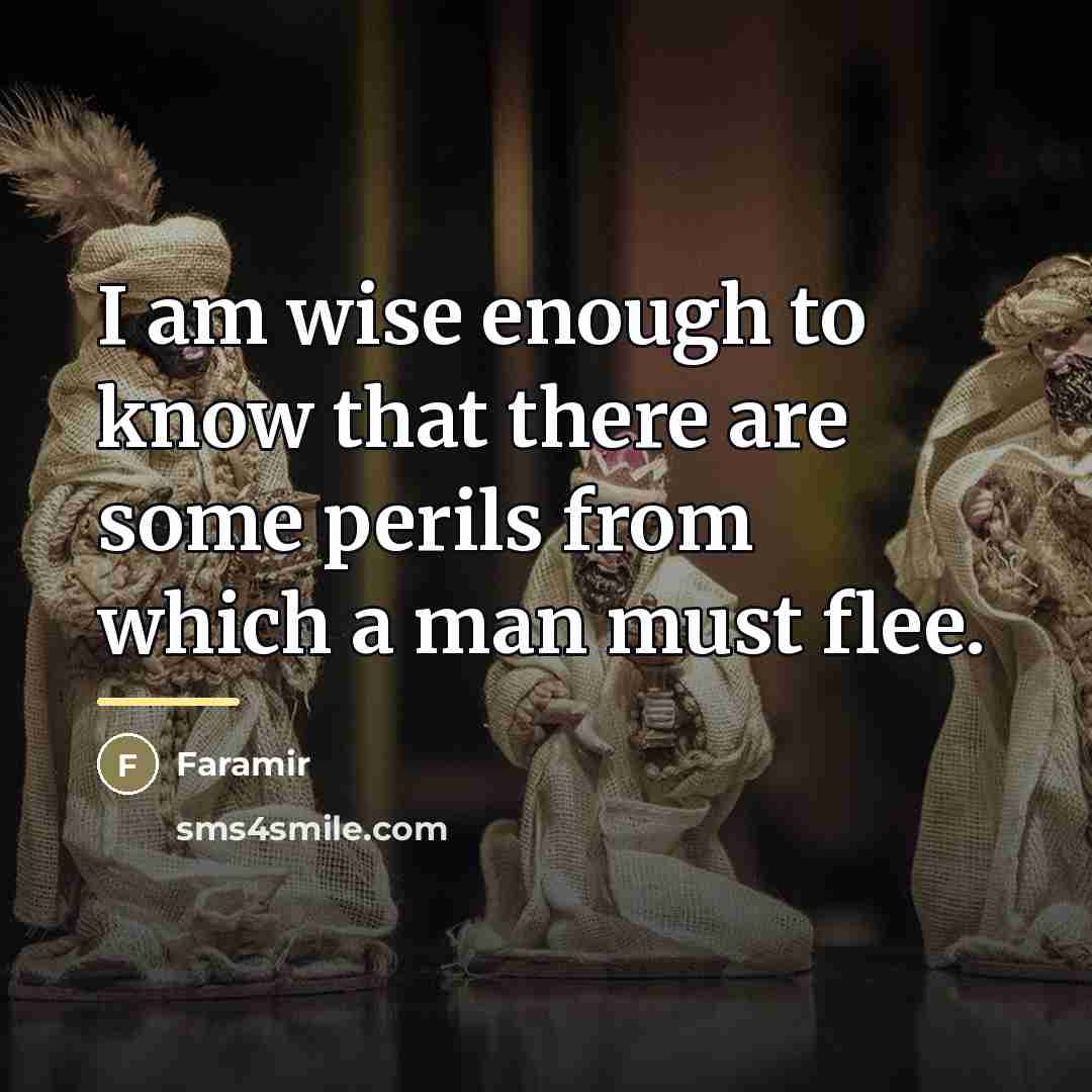 “I am wise enough to know that there are some…” quote by Faramir