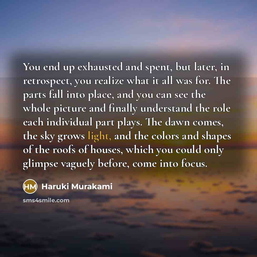 “You end up exhausted and spent, but later, in retrospect,…” quote by Haruki Murakami