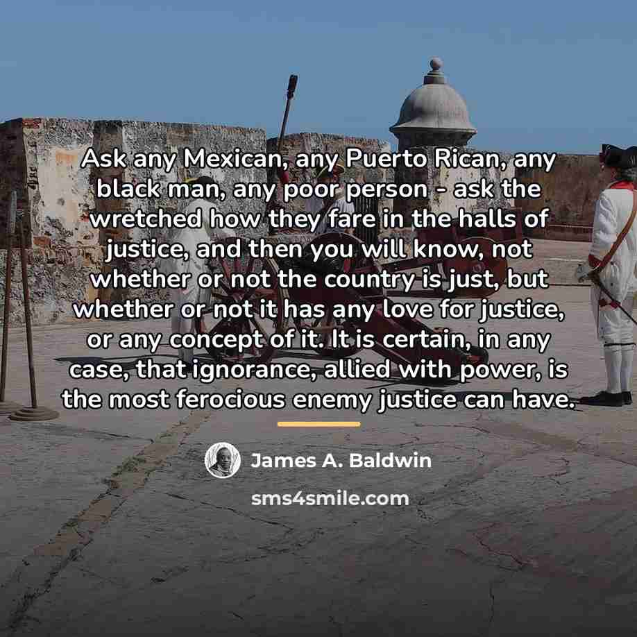“Ask any Mexican, any Puerto Rican, any black man, any…” quote by James A. Baldwin