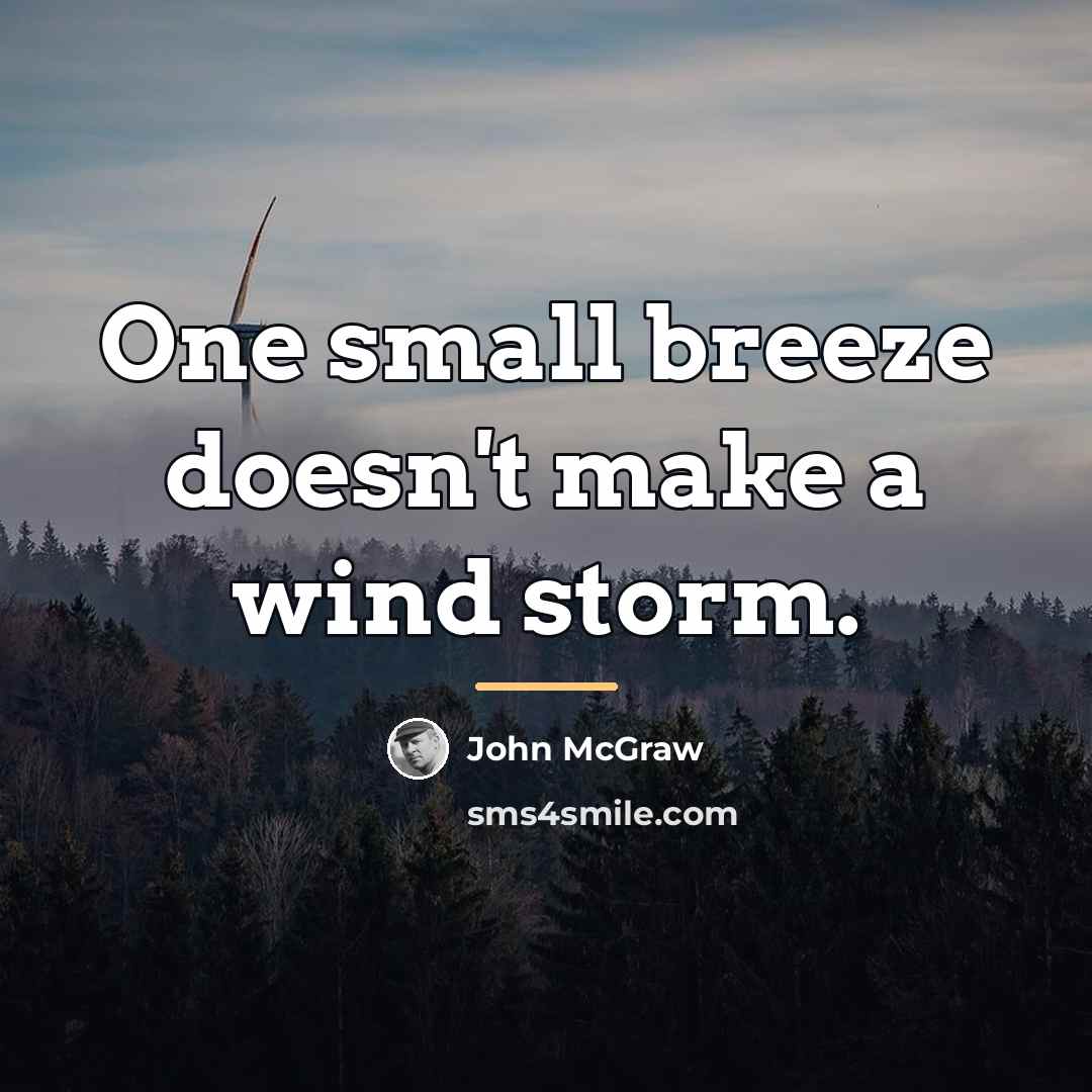 “One small breeze doesn't make a wind storm.…” quote by John McGraw