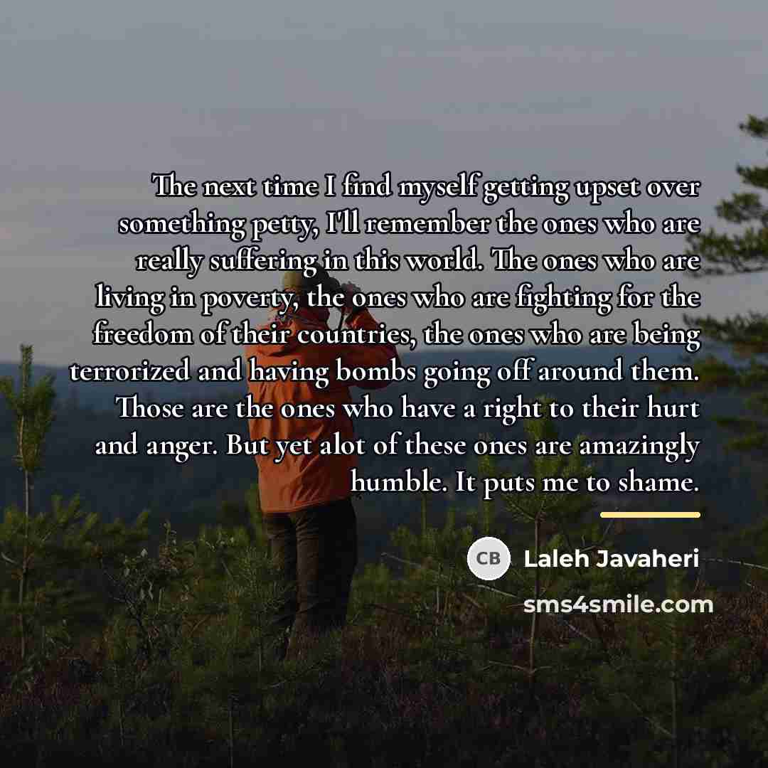 “The next time I find myself getting upset over something…” quote by Laleh Javaheri