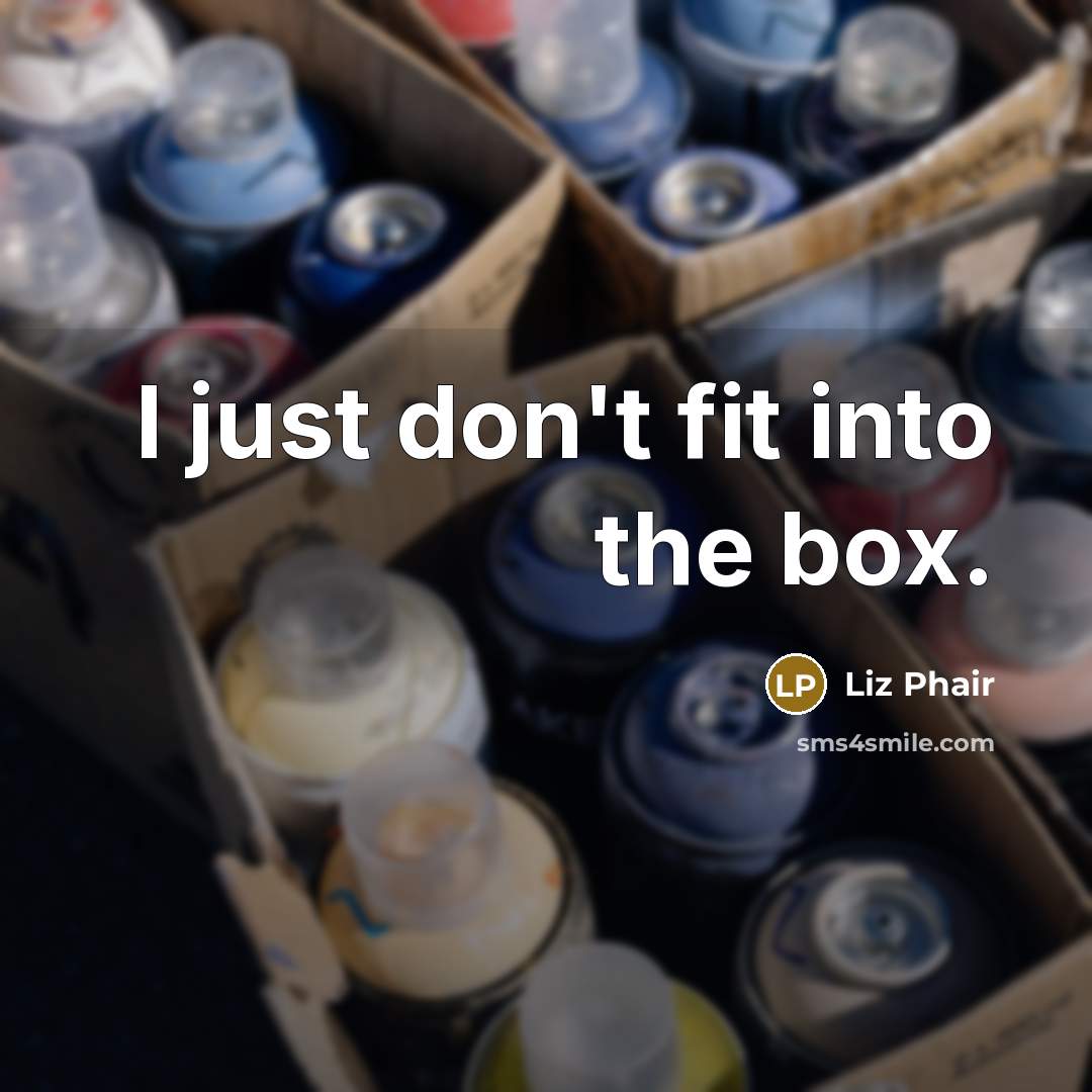 “I just don't fit into the box.…” quote by Liz Phair