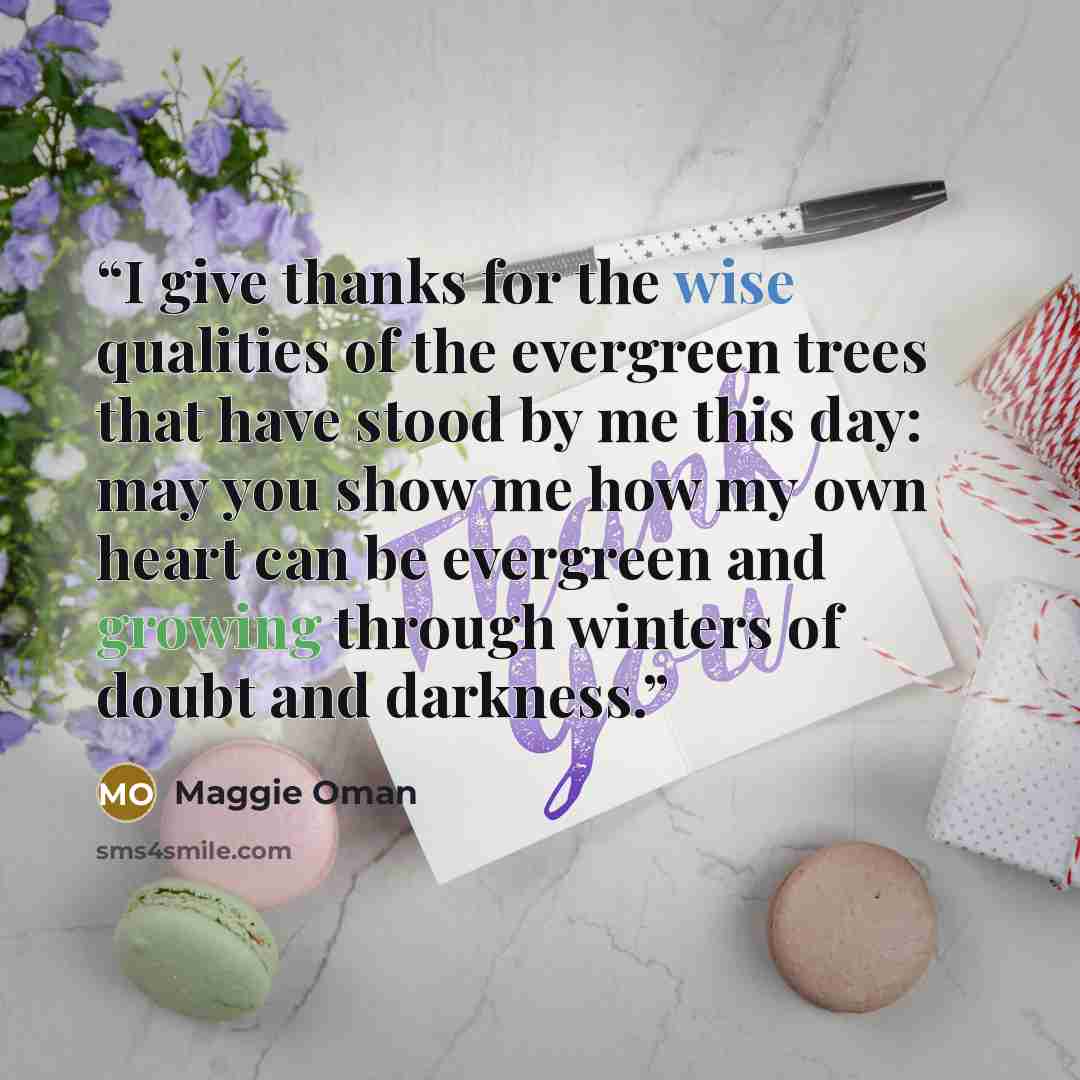 “I give thanks for the wise qualities of the evergreen trees that have stood by me this day: may you show me how my own heart can be evergreen and growing through winters of doubt and darkness.” quote by Maggie Oman