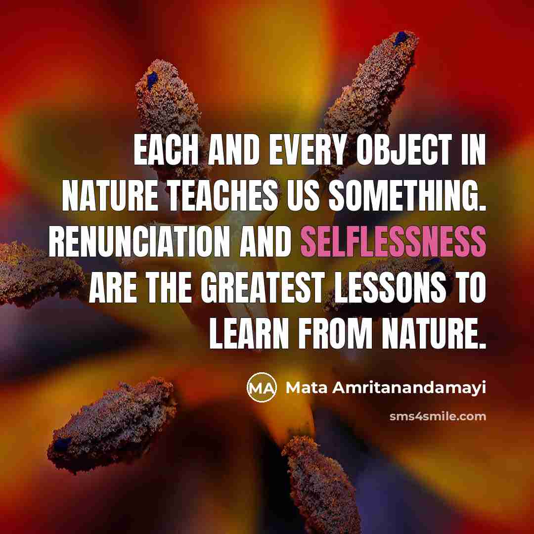 “Each and every object in Nature teaches us something. Renunciation…” quote by Mata Amritanandamayi