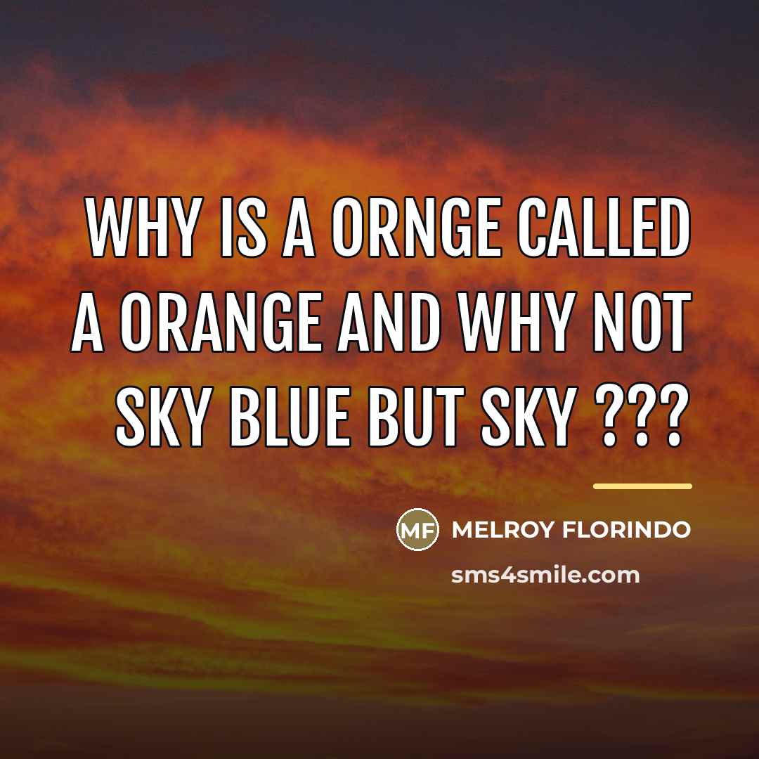 “WHY IS A ORNGE CALLED A ORANGE AND WHY NOT…” quote by Melroy Florindo