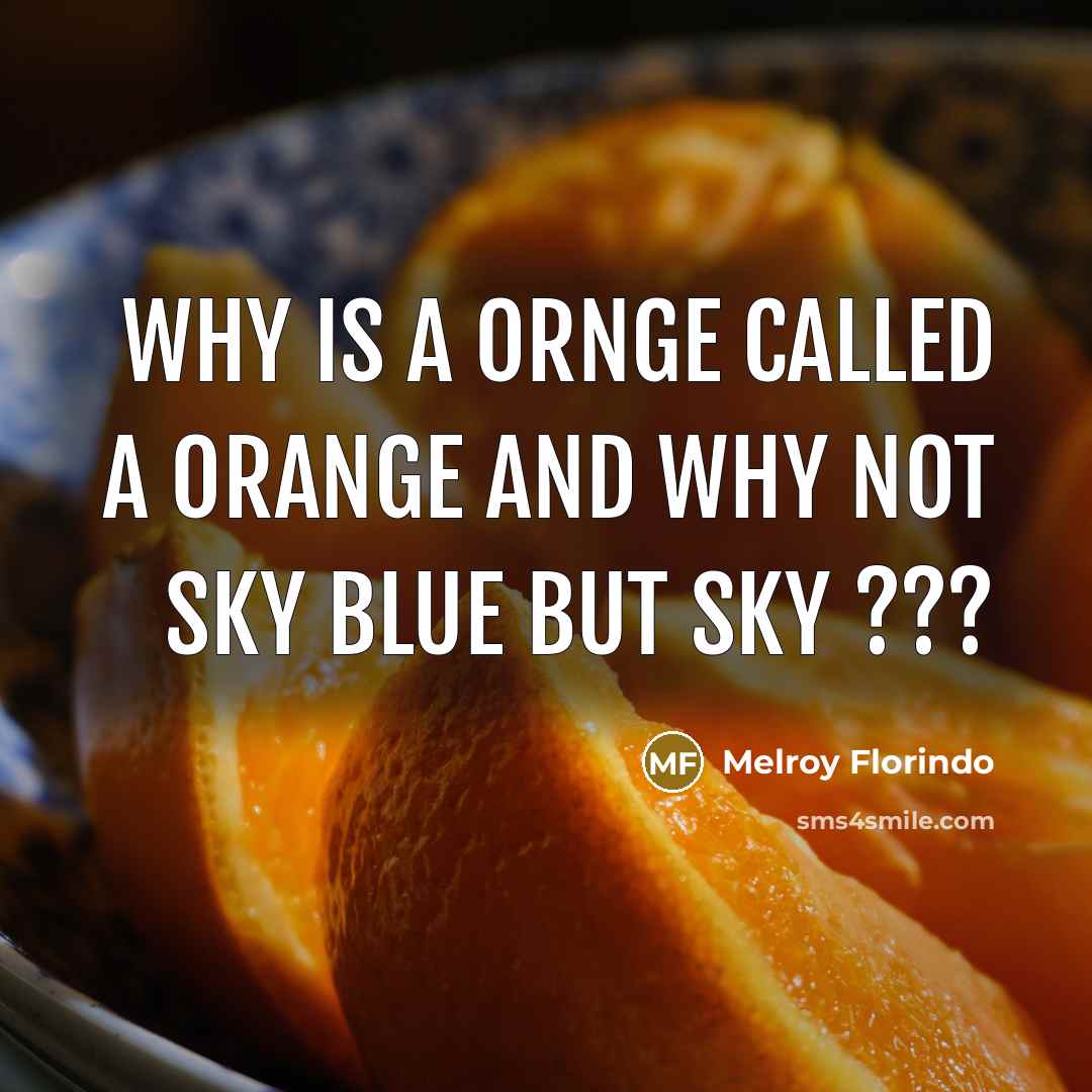 “WHY IS A ORNGE CALLED A ORANGE AND WHY NOT SKY BLUE BUT SKY ???” quote by Melroy Florindo