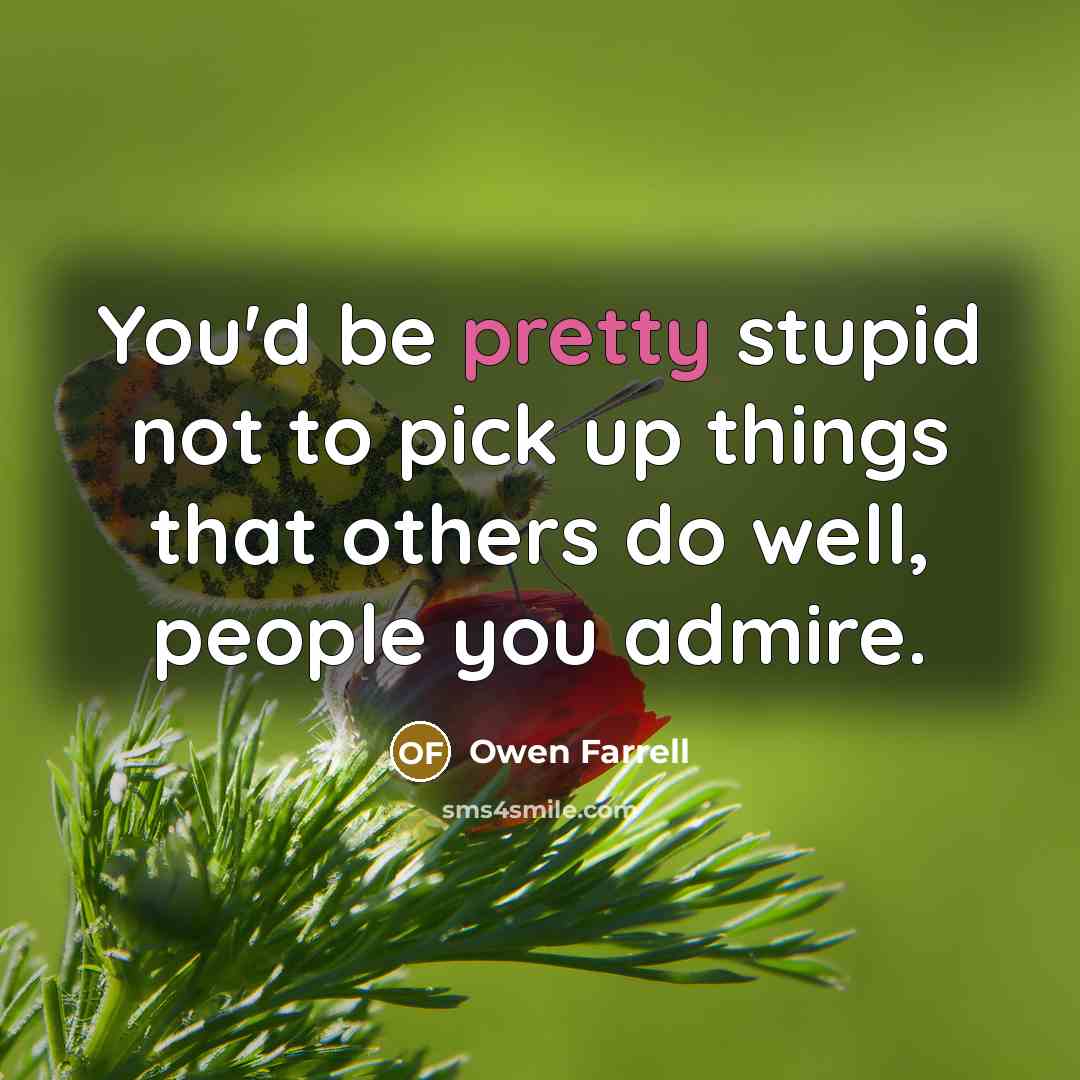 “You'd be pretty stupid not to pick up things that…” quote by Owen Farrell