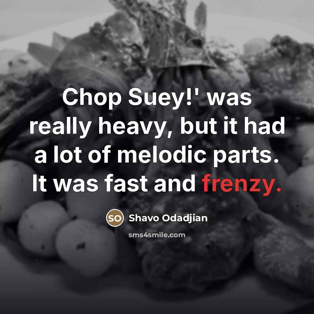 “Chop Suey!' was really heavy, but it had a lot…” quote by Shavo Odadjian