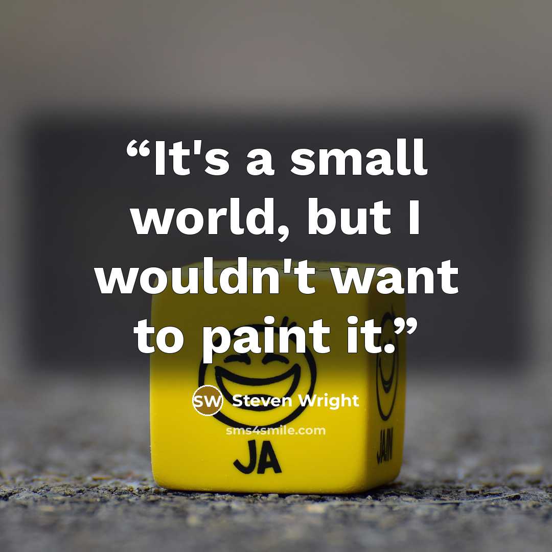 “It's a small world, but I wouldn't want to paint it.” quote by Steven Wright