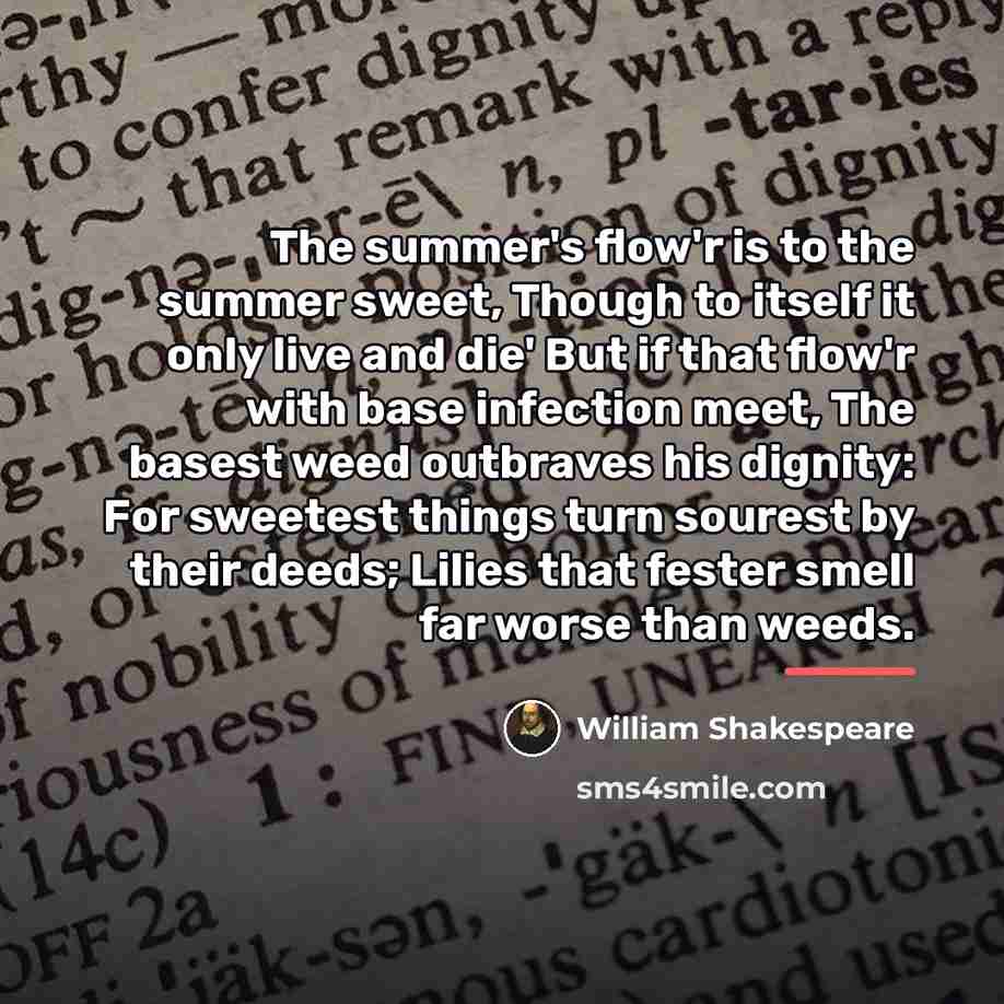 “The summer's flow'r is to the summer sweet, Though to…” quote by William Shakespeare