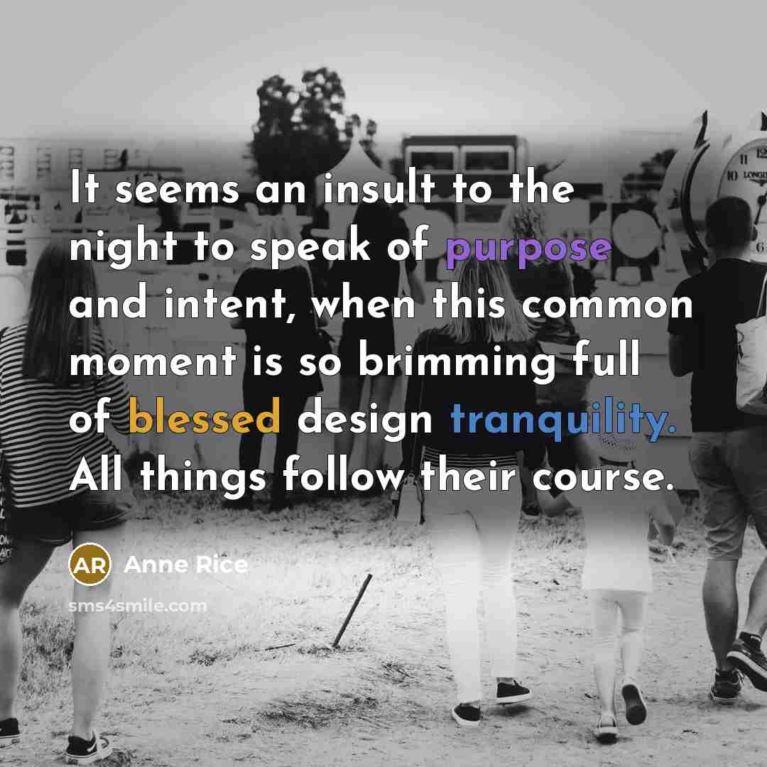 “It seems an insult to the night to speak of…” quote by Anne Rice