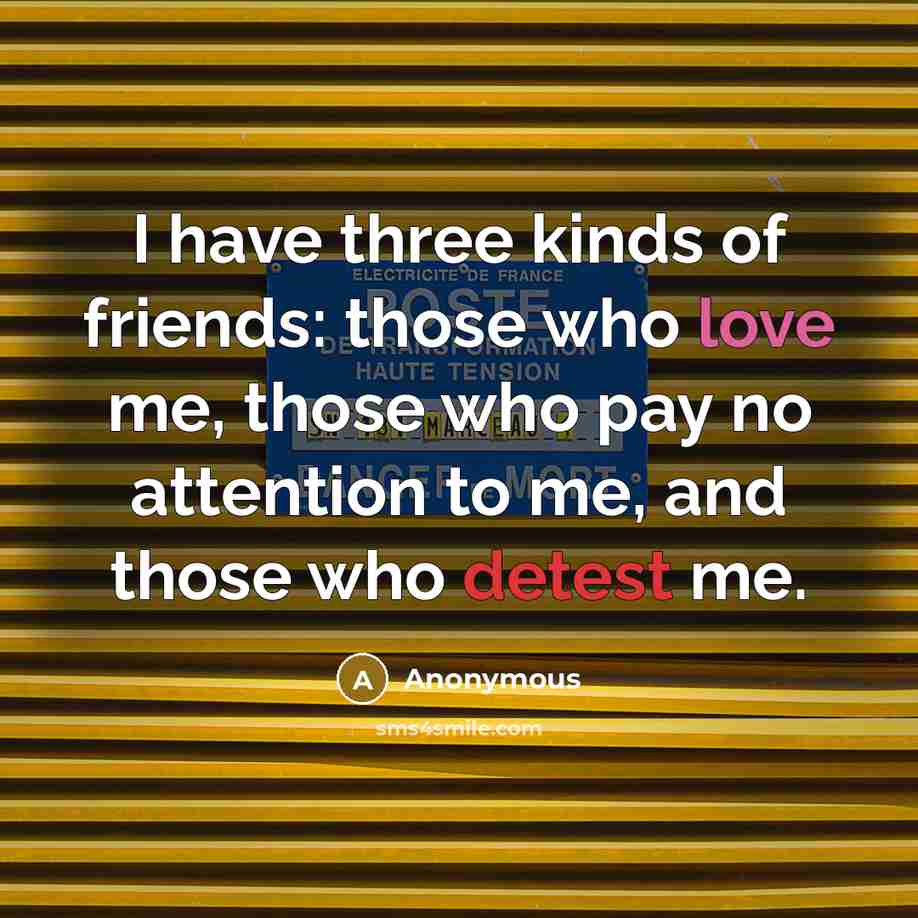 “I have three kinds of friends: those who love me,…” quote by Anonymous