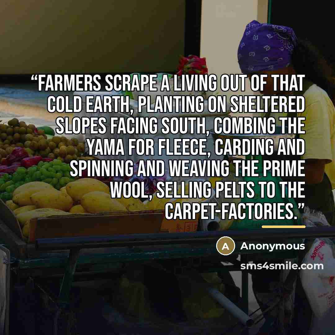 “Farmers scrape a living out of that cold earth, planting on sheltered slopes facing south, combing the yama for fleece, carding and spinning and weaving the prime wool, selling pelts to the carpet-factories.” quote by Anonymous