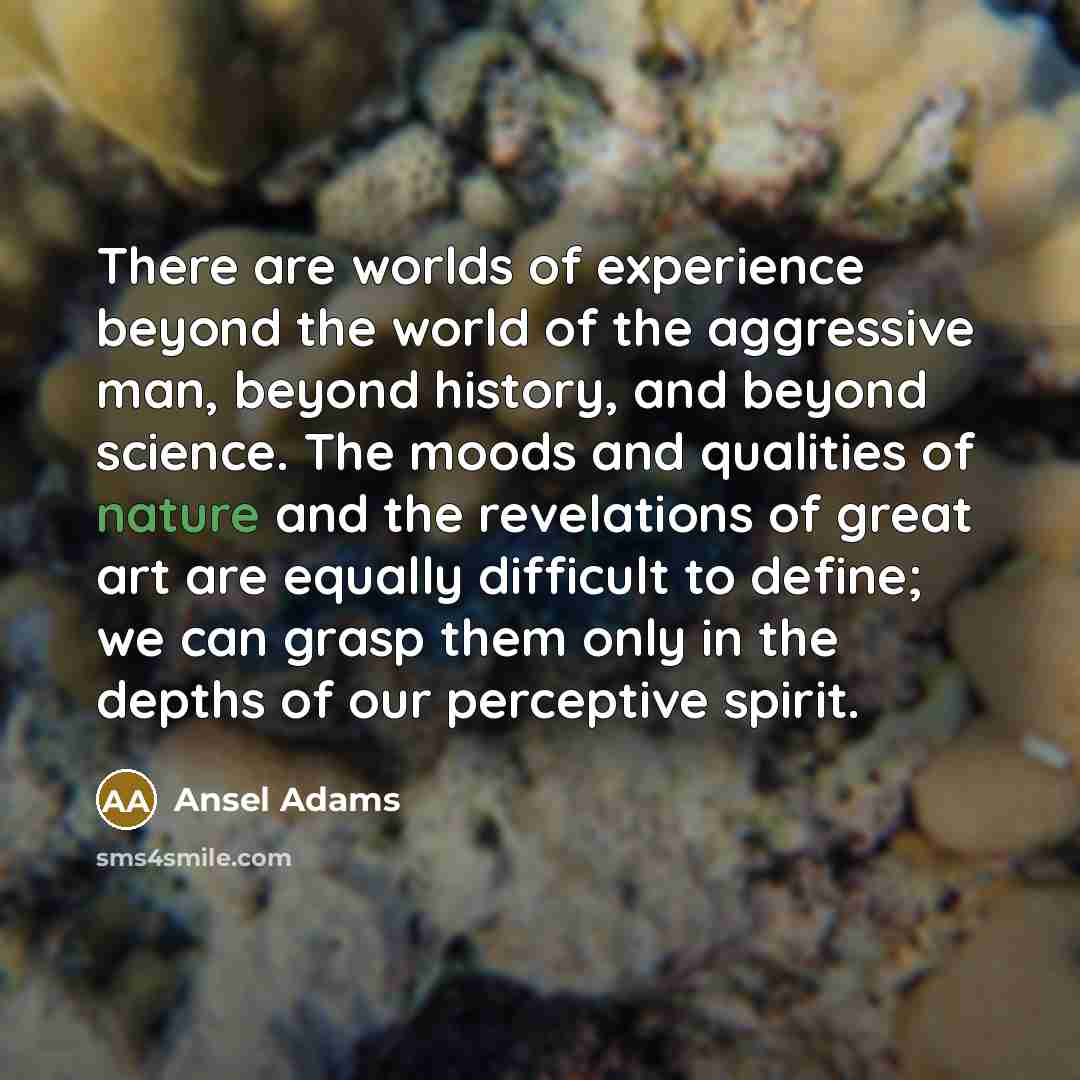 “There are worlds of experience beyond the world of the…” quote by Ansel Adams