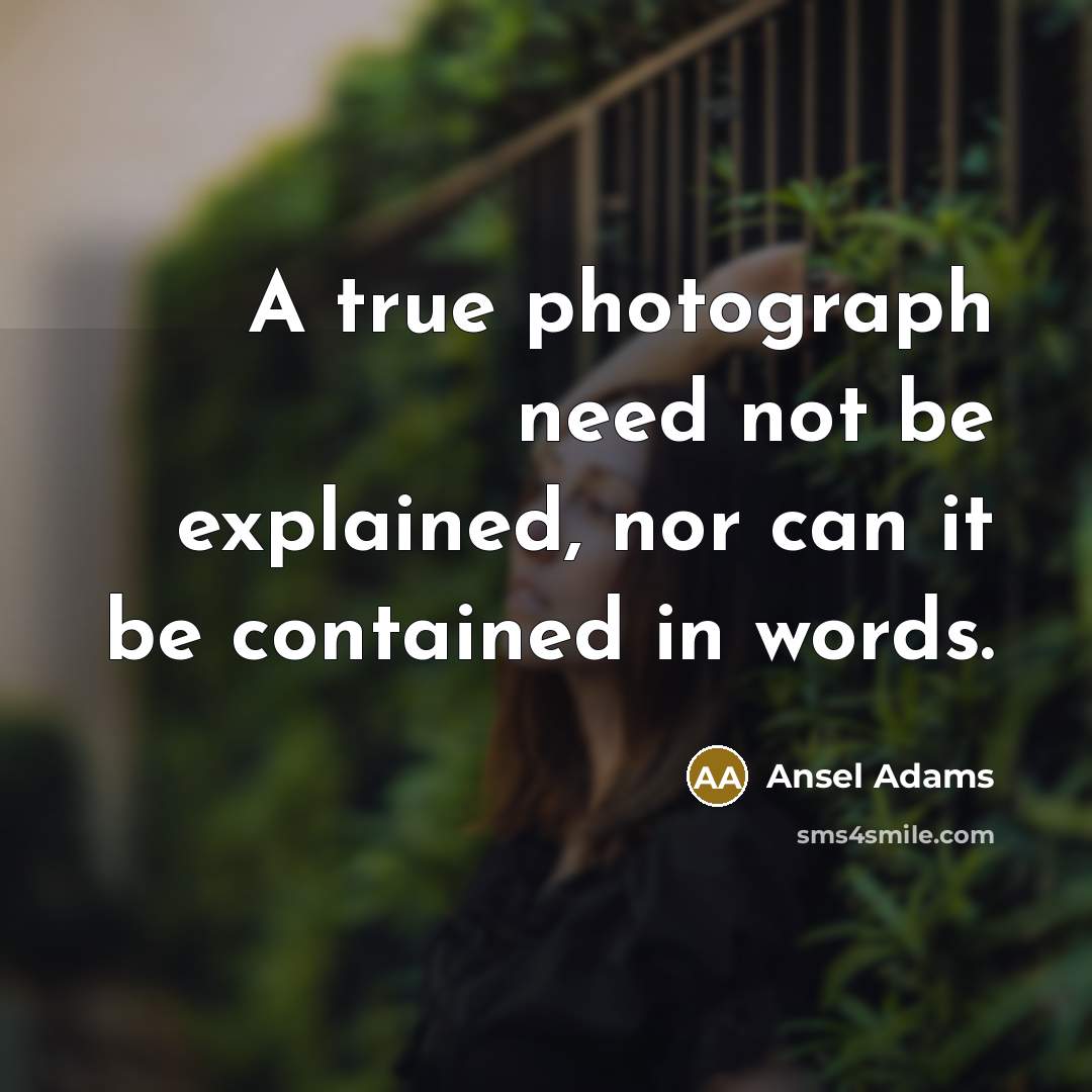 “A true photograph need not be explained, nor can it…” quote by Ansel Adams