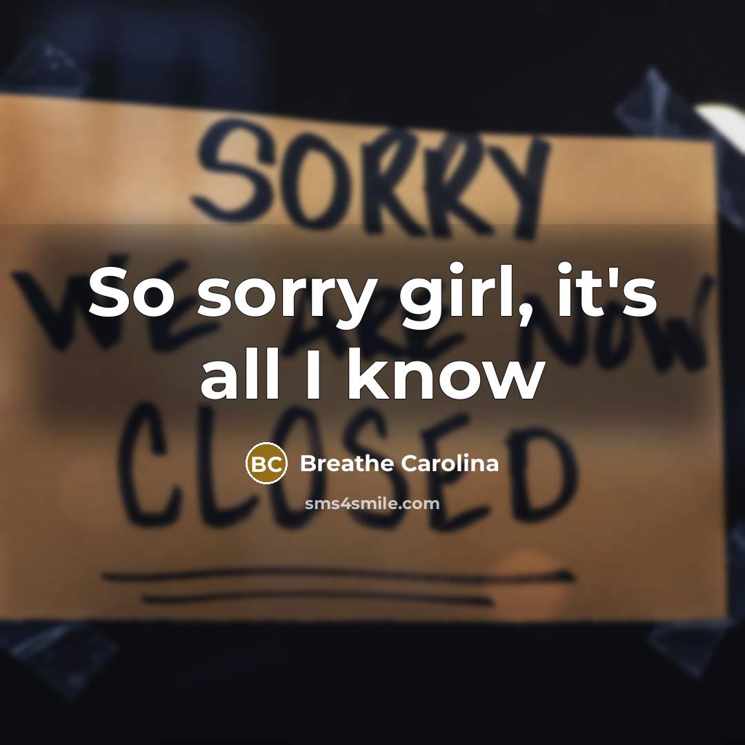 “So sorry girl, it's all I know…” quote by Breathe Carolina