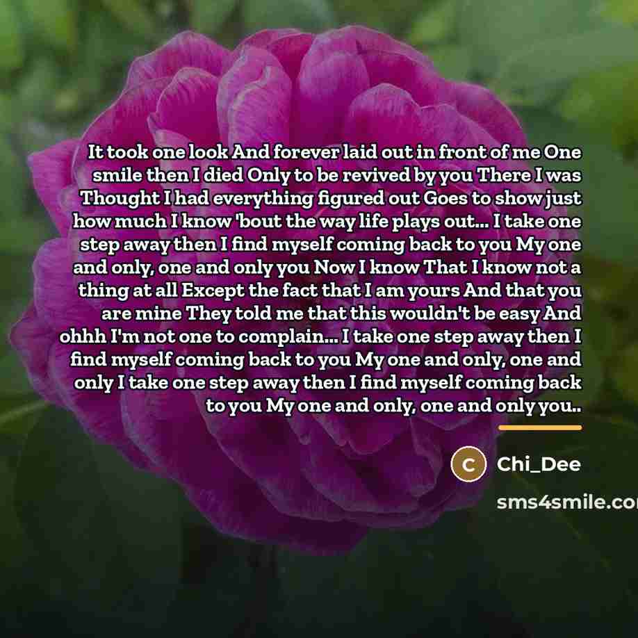 “It took one look And forever laid out in front…” quote by Chi_Dee