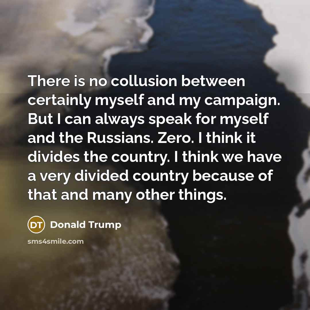“There is no collusion between certainly myself and my campaign. But I can always speak for myself and the Russians. Zero. I think it divides the country. I think we have a very divided country because of that and many other things.” quote by Donald Trump