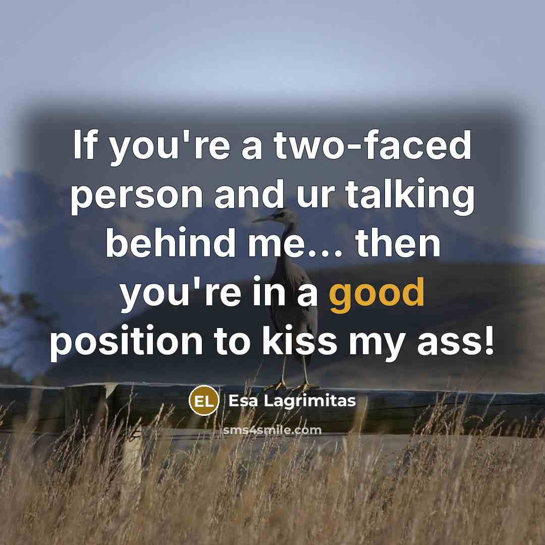 “If you're a two-faced person and ur talking behind me...…” quote by Esa Lagrimitas