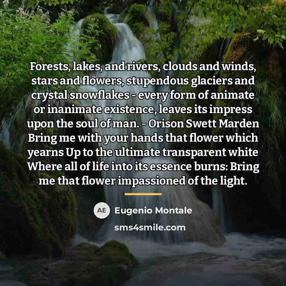“Forests, lakes, and rivers, clouds and winds, stars and flowers,…” quote by Eugenio Montale