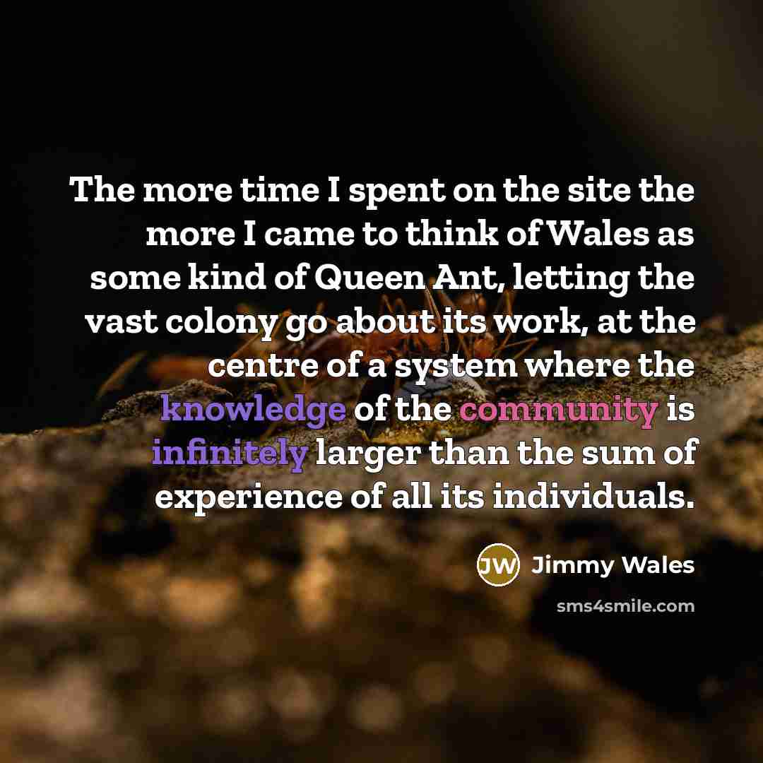 “The more time I spent on the site the more…” quote by Jimmy Wales