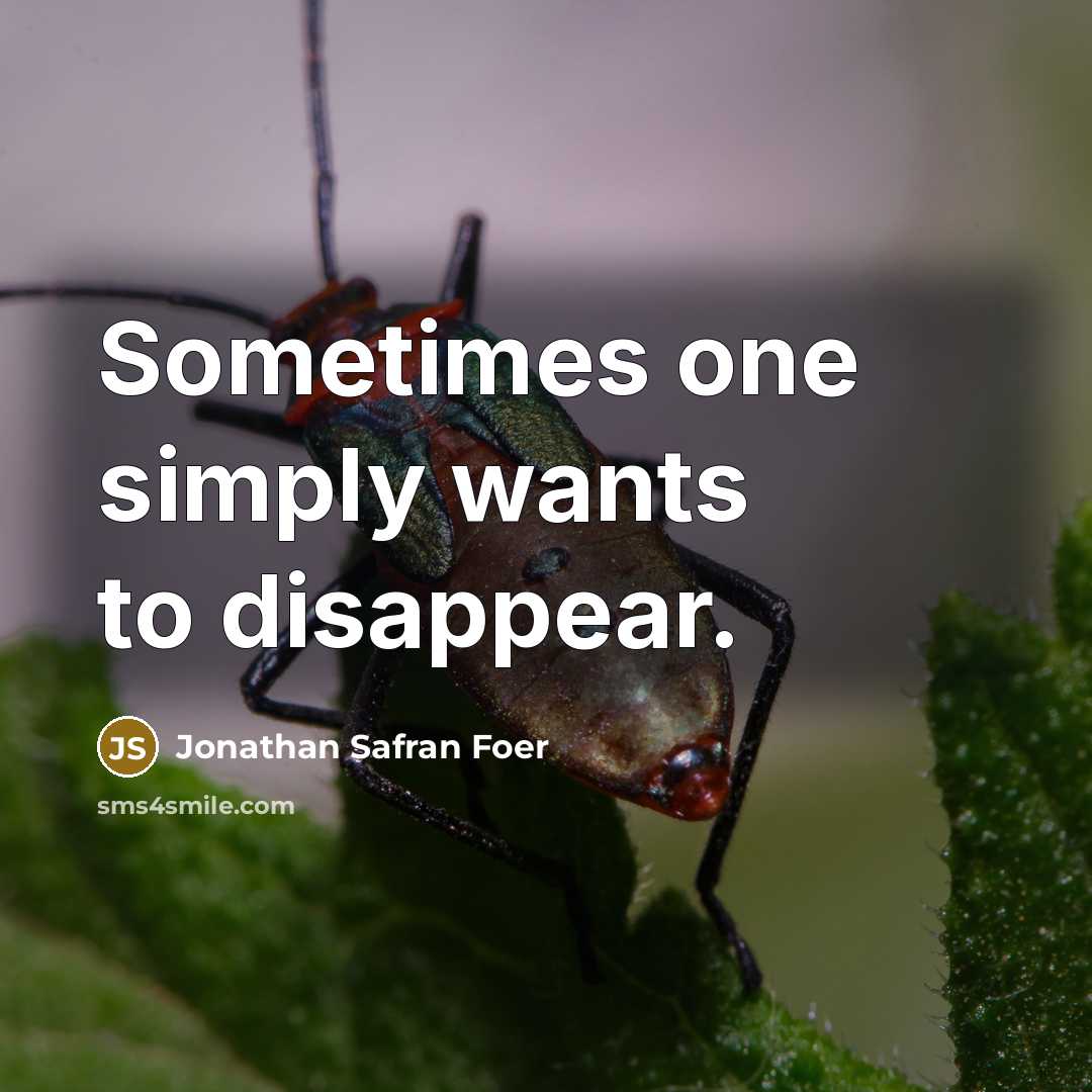 “Sometimes one simply wants to disappear.…” quote by Jonathan Safran Foer