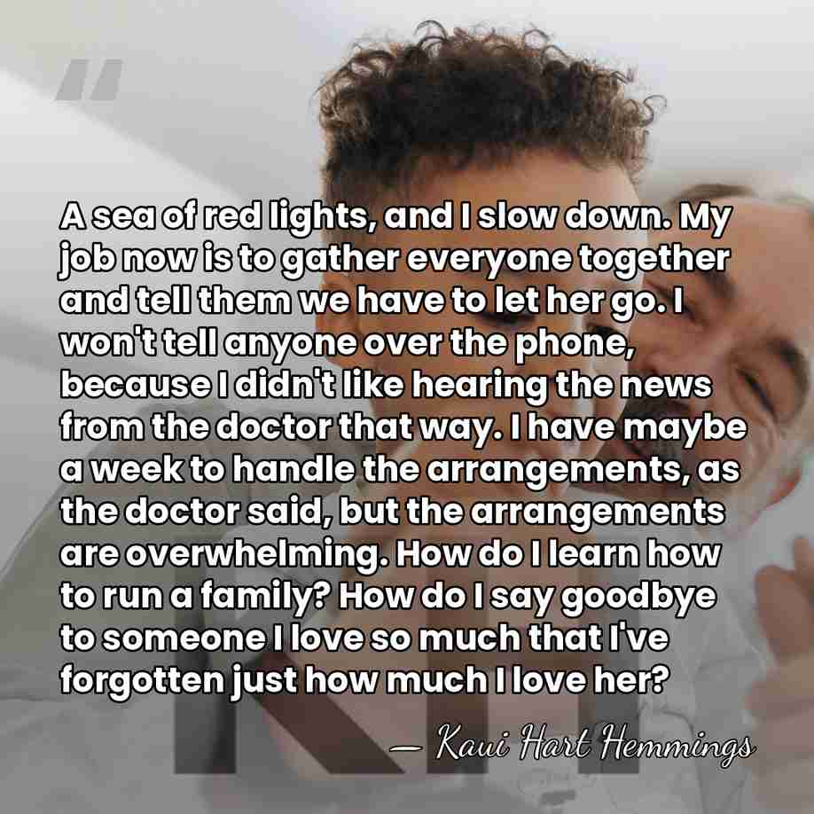 A sea of red lights, and I slow down. My job now&hellip; - Kaui Hart Hemmings