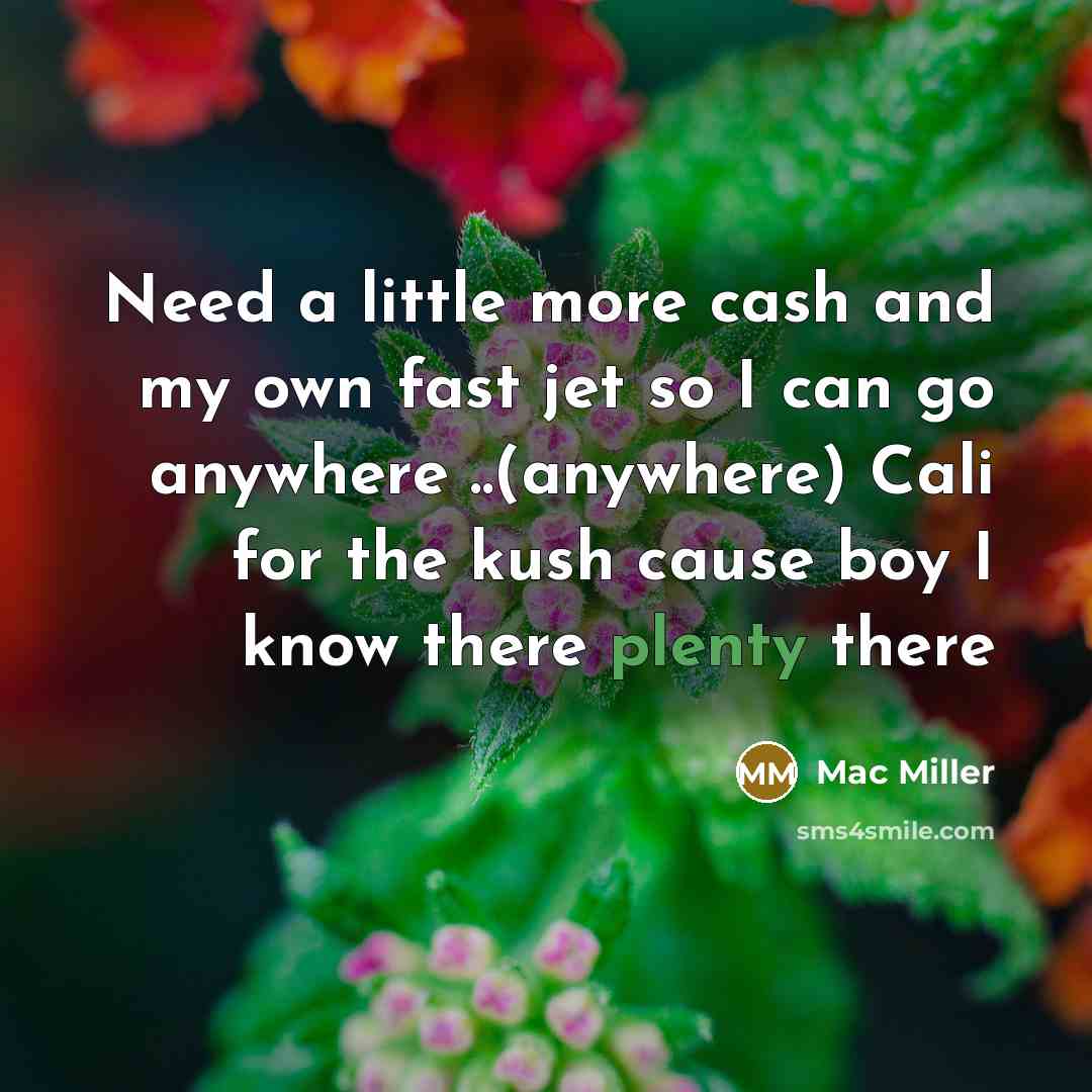 “Need a little more cash and my own fast jet…” quote by Mac Miller