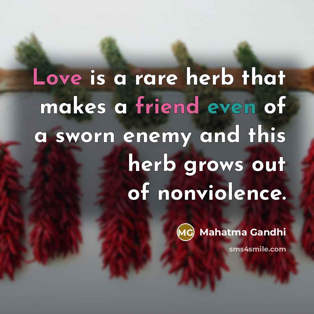 “Love is a rare herb that makes a friend even…” quote by Mahatma Gandhi