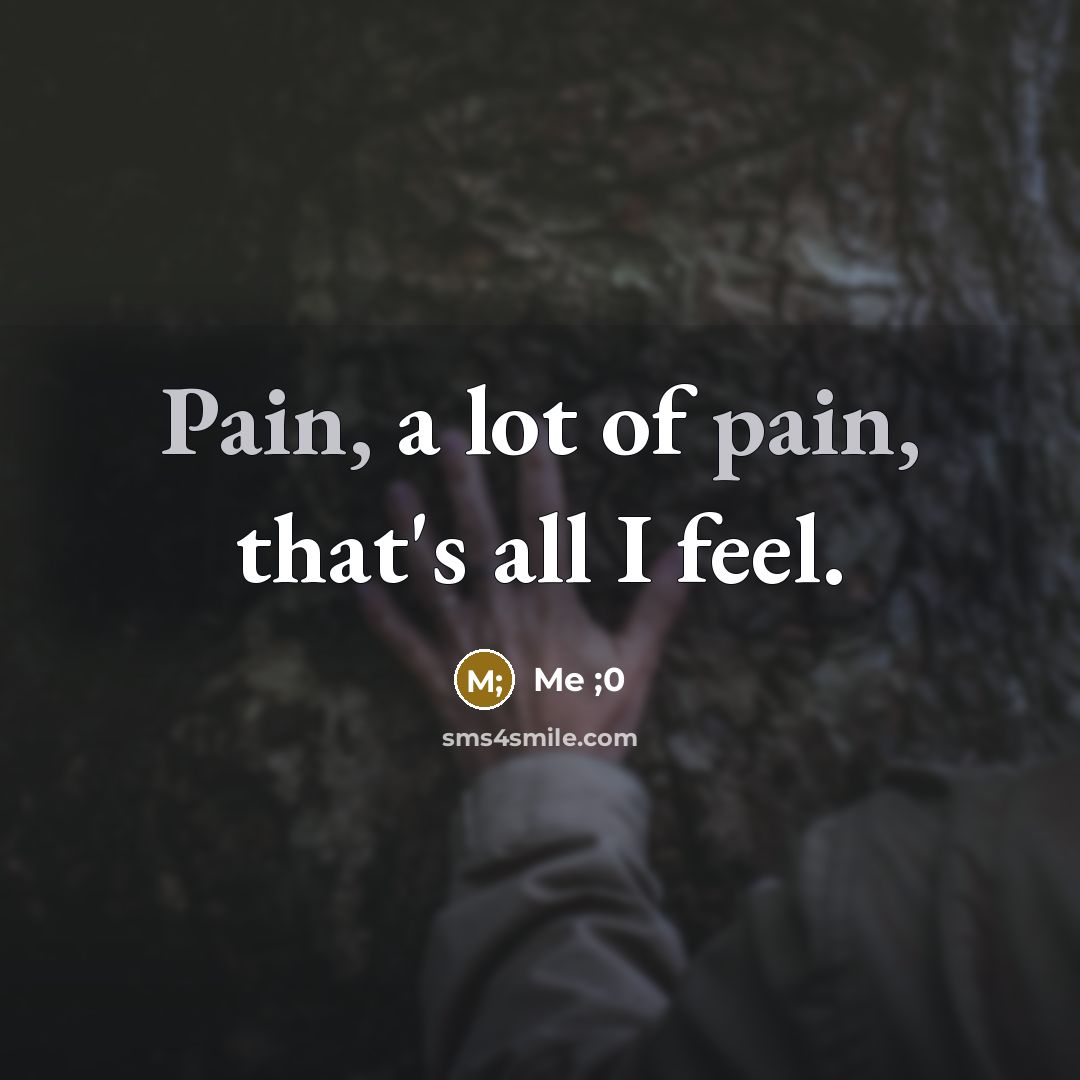 “Pain, a lot of pain, that's all I feel.” quote by Me ;0