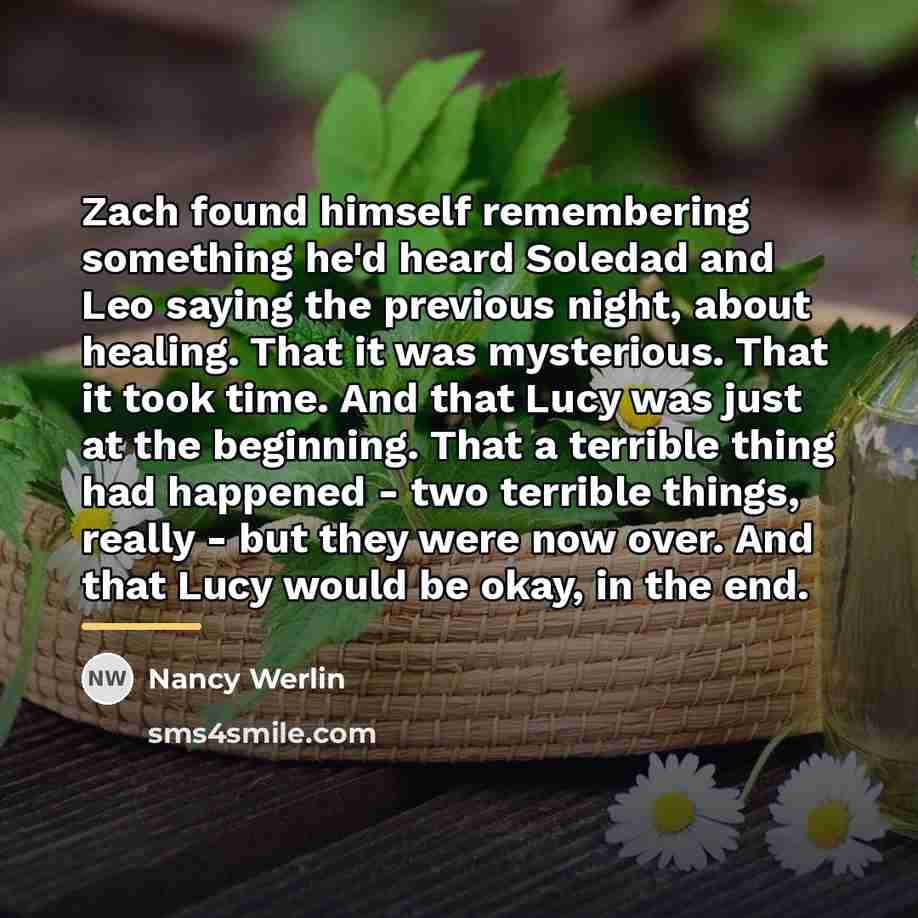 “Zach found himself remembering something he'd heard Soledad and Leo…” quote by Nancy Werlin