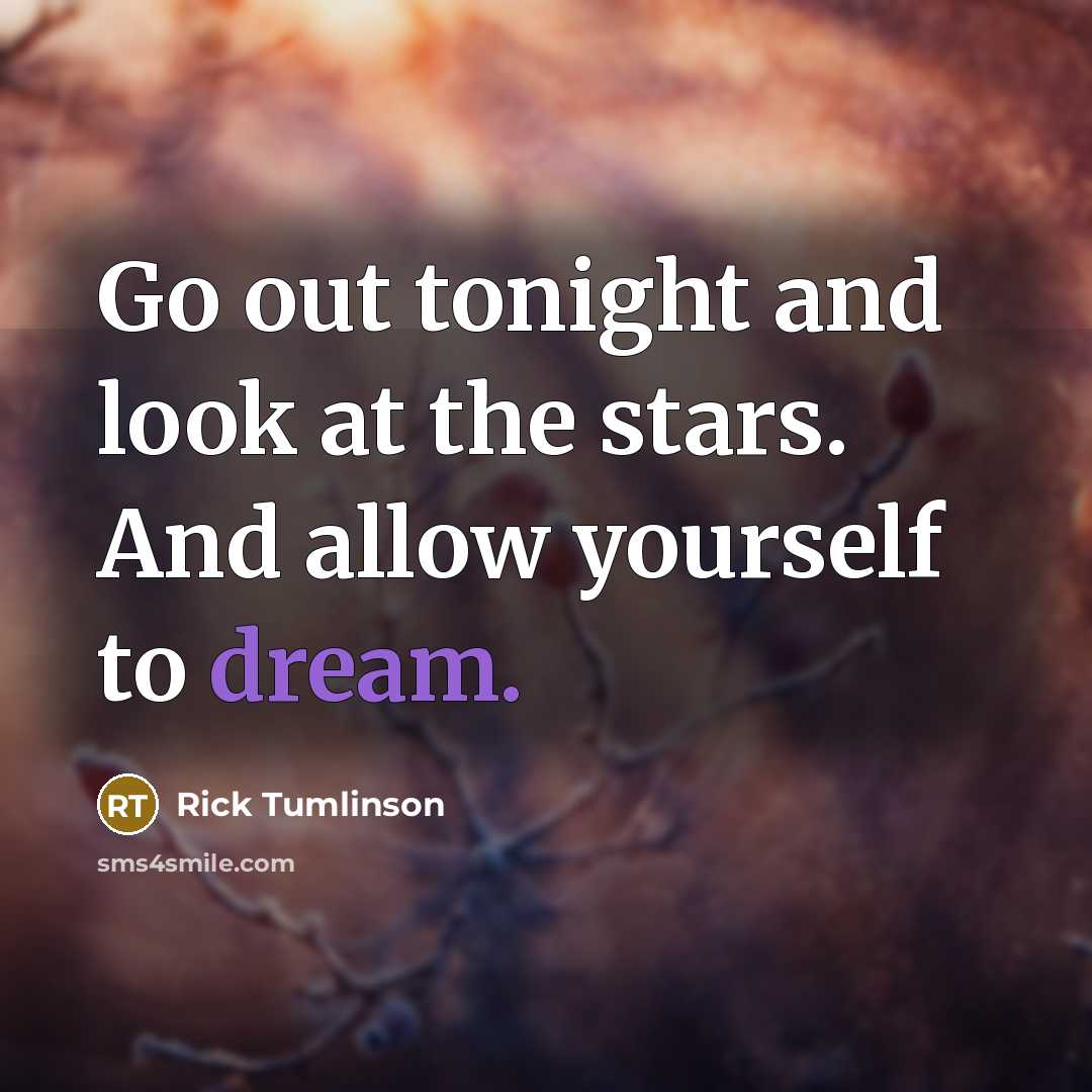 “Go out tonight and look at the stars. And allow…” quote by Rick Tumlinson