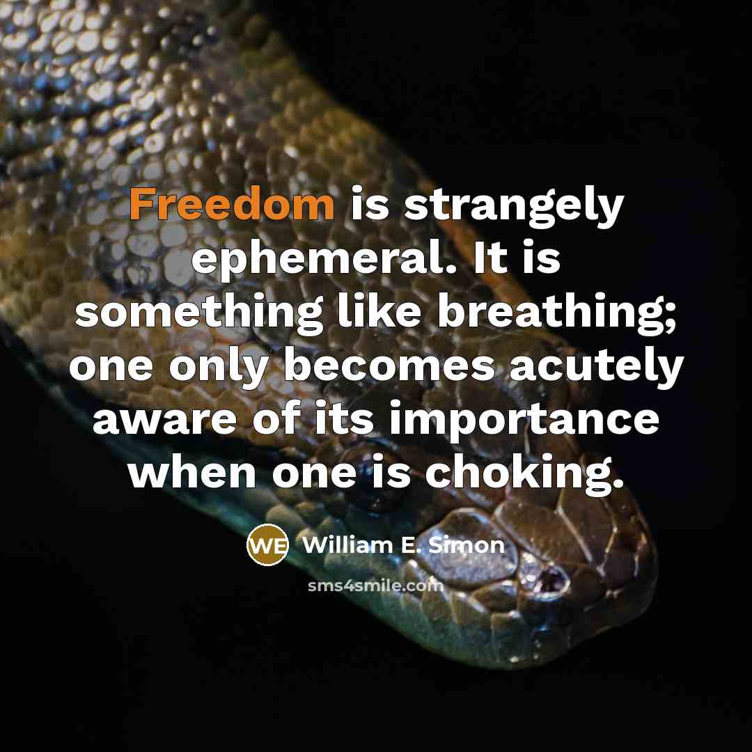 “Freedom is strangely ephemeral. It is something like breathing; one…” quote by William E. Simon