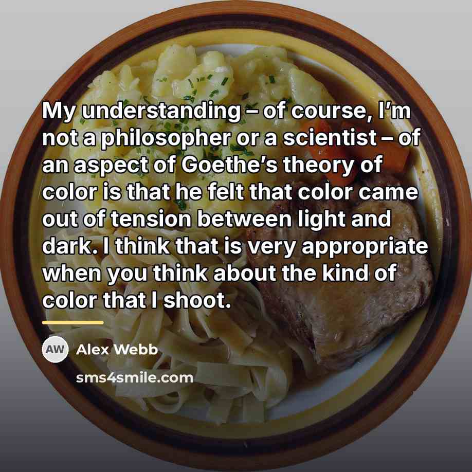 “My understanding – of course, I’m not a philosopher or…” quote by Alex Webb