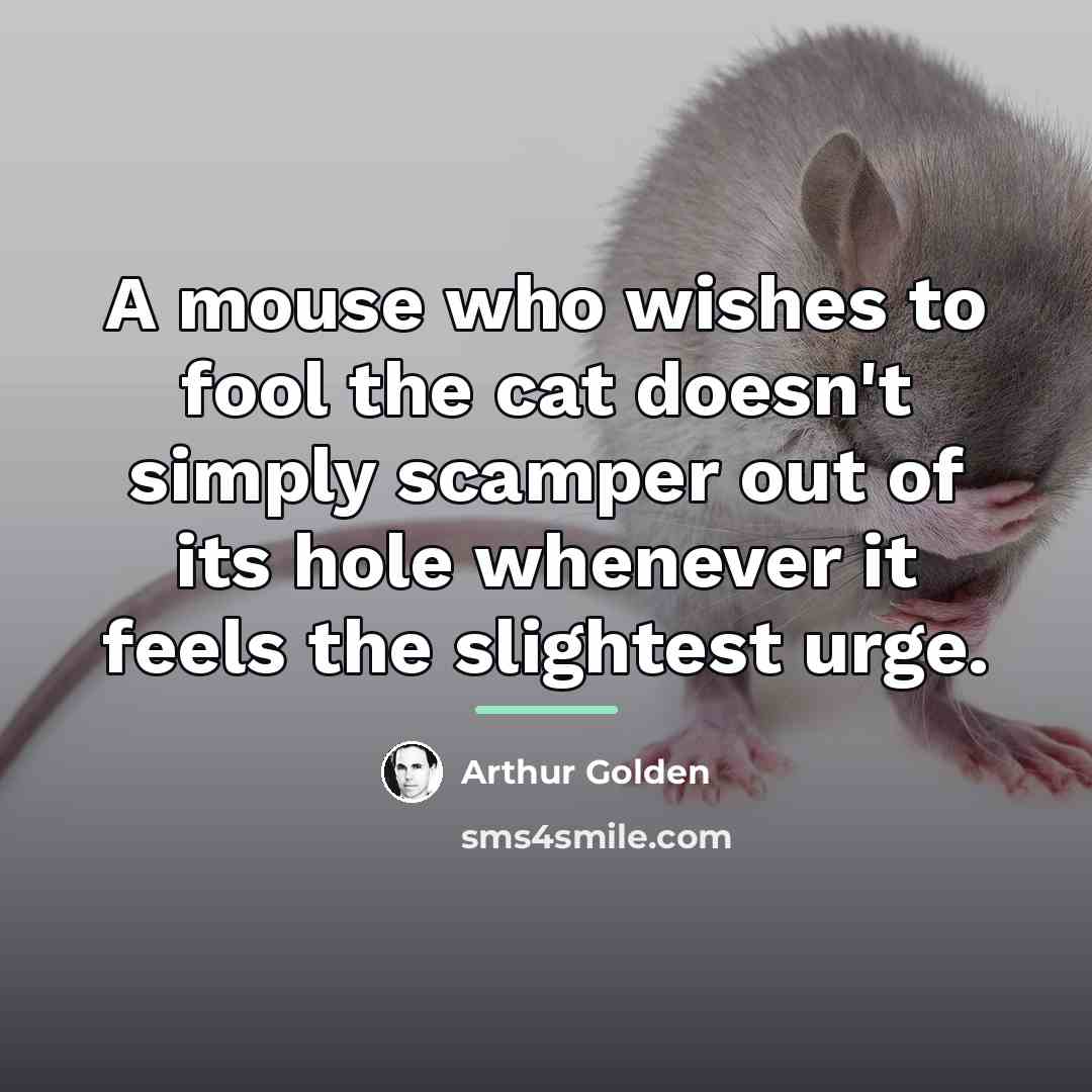 “A mouse who wishes to fool the cat doesn't simply…” quote by Arthur Golden