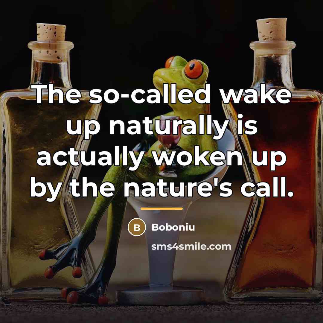 “The so-called wake up naturally is actually woken up by…” quote by Boboniu