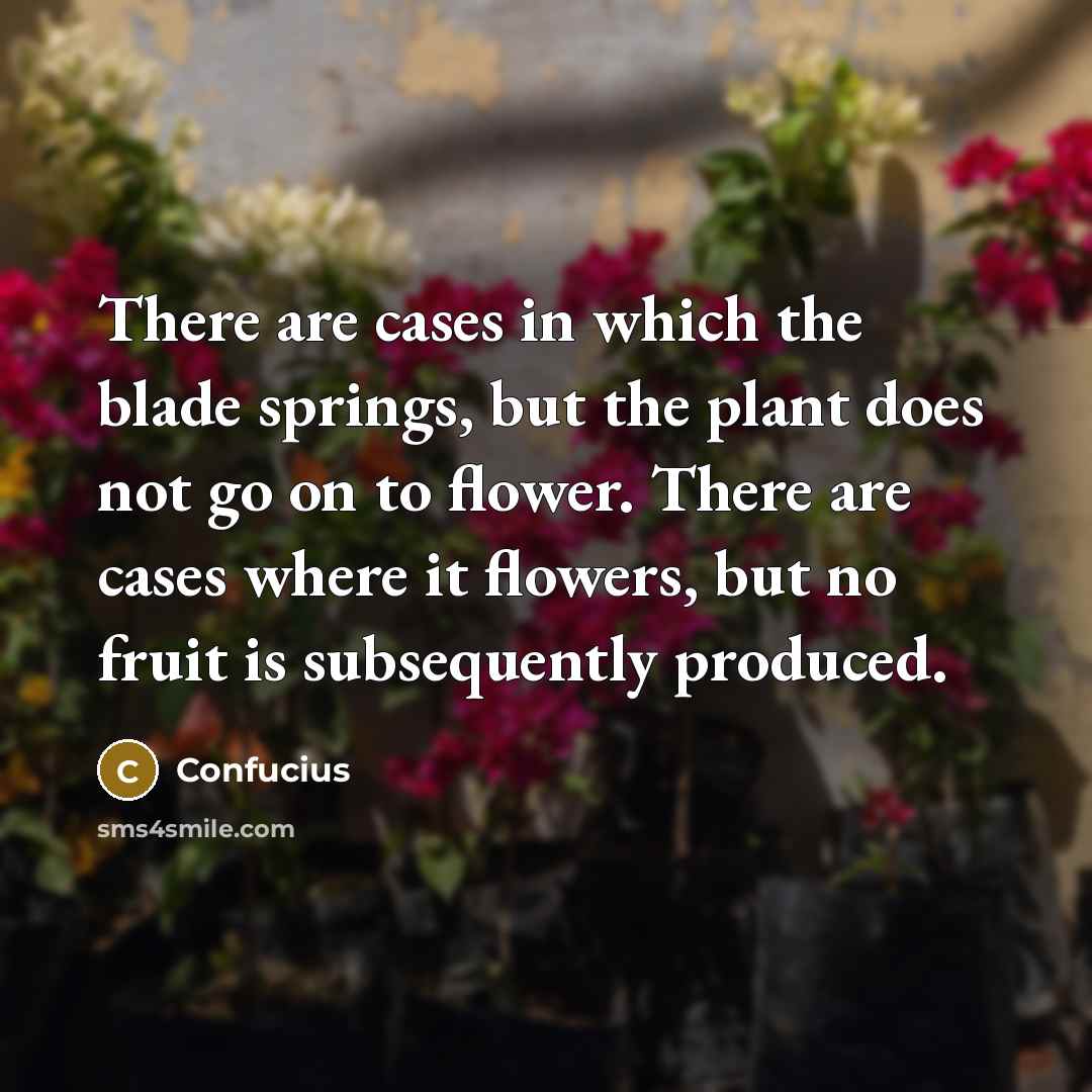 “There are cases in which the blade springs, but the…” quote by Confucius