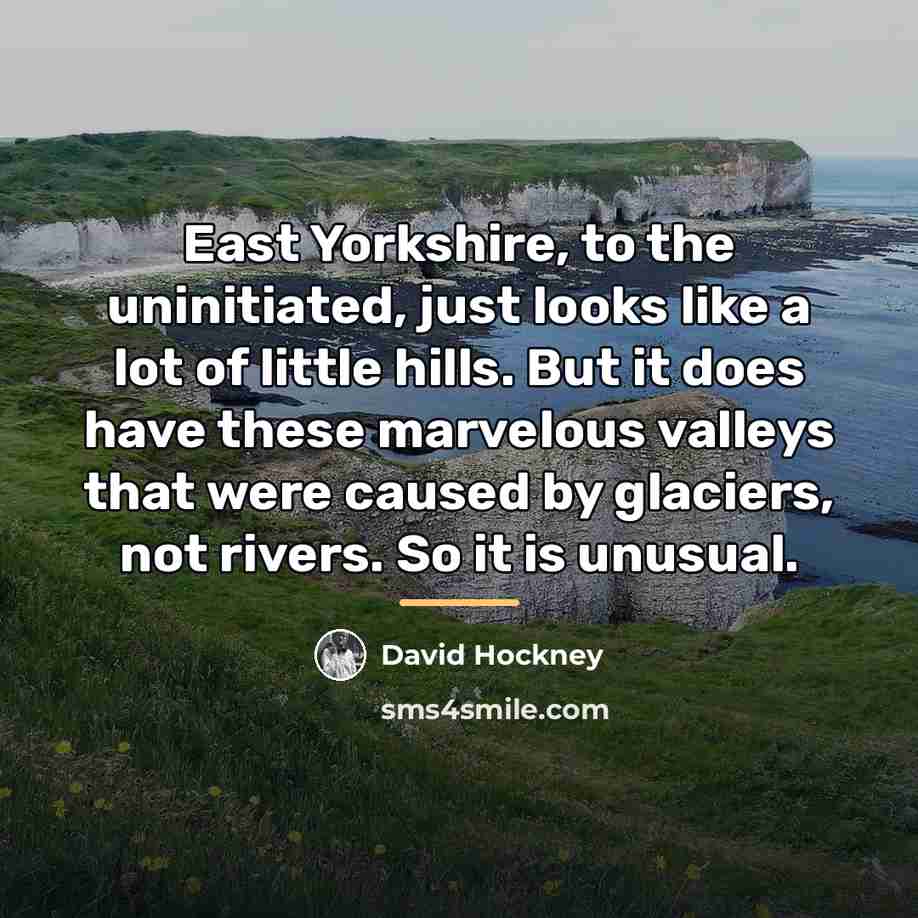“East Yorkshire, to the uninitiated, just looks like a lot…” quote by David Hockney
