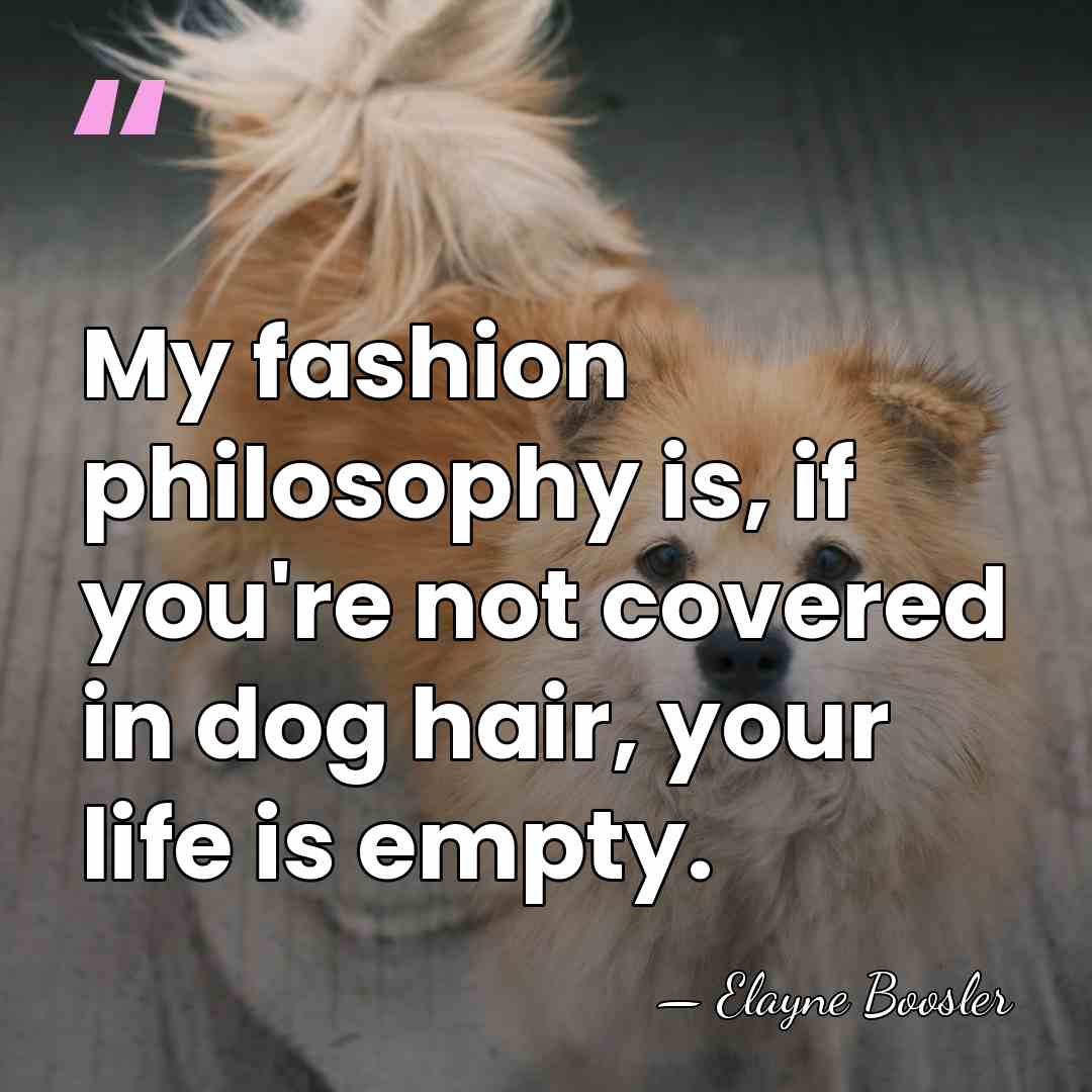 My fashion philosophy is, if you're not covered in dog hair, your&hellip; - Elayne Boosler