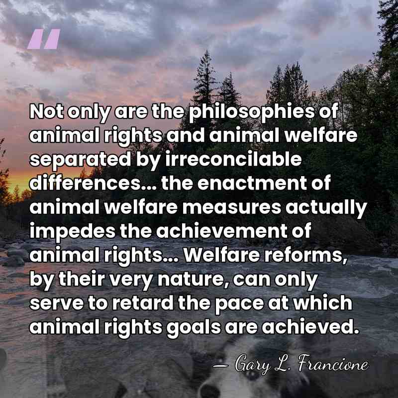 Not only are the philosophies of animal rights and animal welfare separated&hellip; - Gary L. Francione