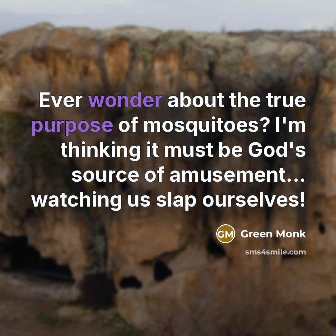 “Ever wonder about the true purpose of mosquitoes? I'm thinking it must be God's source of amusement... watching us slap ourselves!” quote by Green Monk