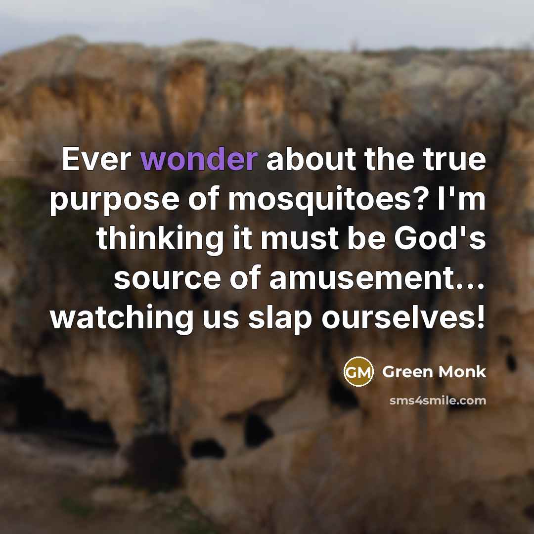 “Ever wonder about the true purpose of mosquitoes? I'm thinking…” quote by Green Monk
