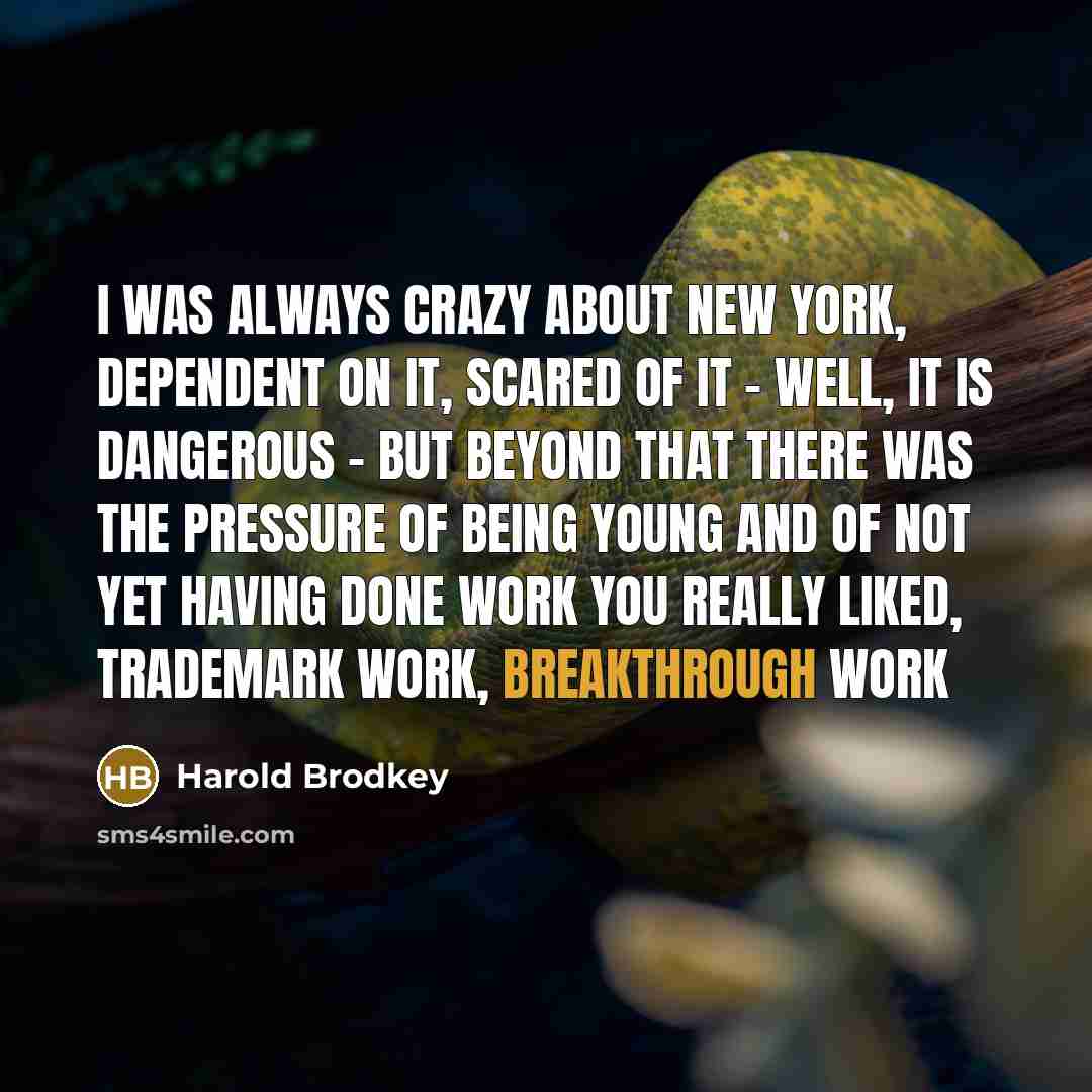 “I was always crazy about New York, dependent on it,…” quote by Harold Brodkey