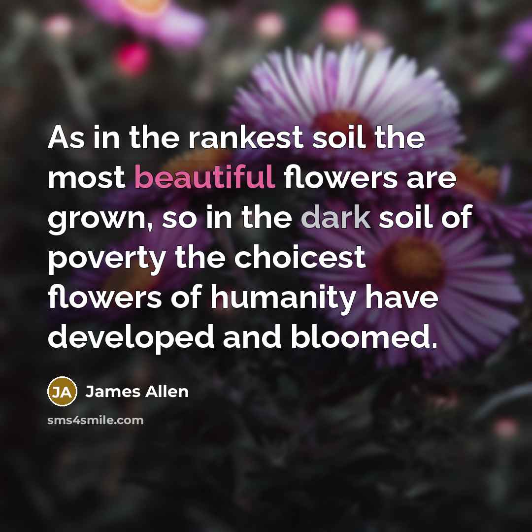 “As in the rankest soil the most beautiful flowers are…” quote by James Allen