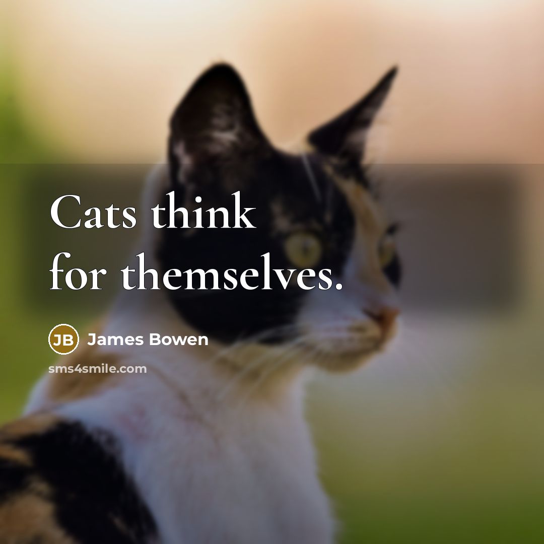 “Cats think for themselves.…” quote by James Bowen
