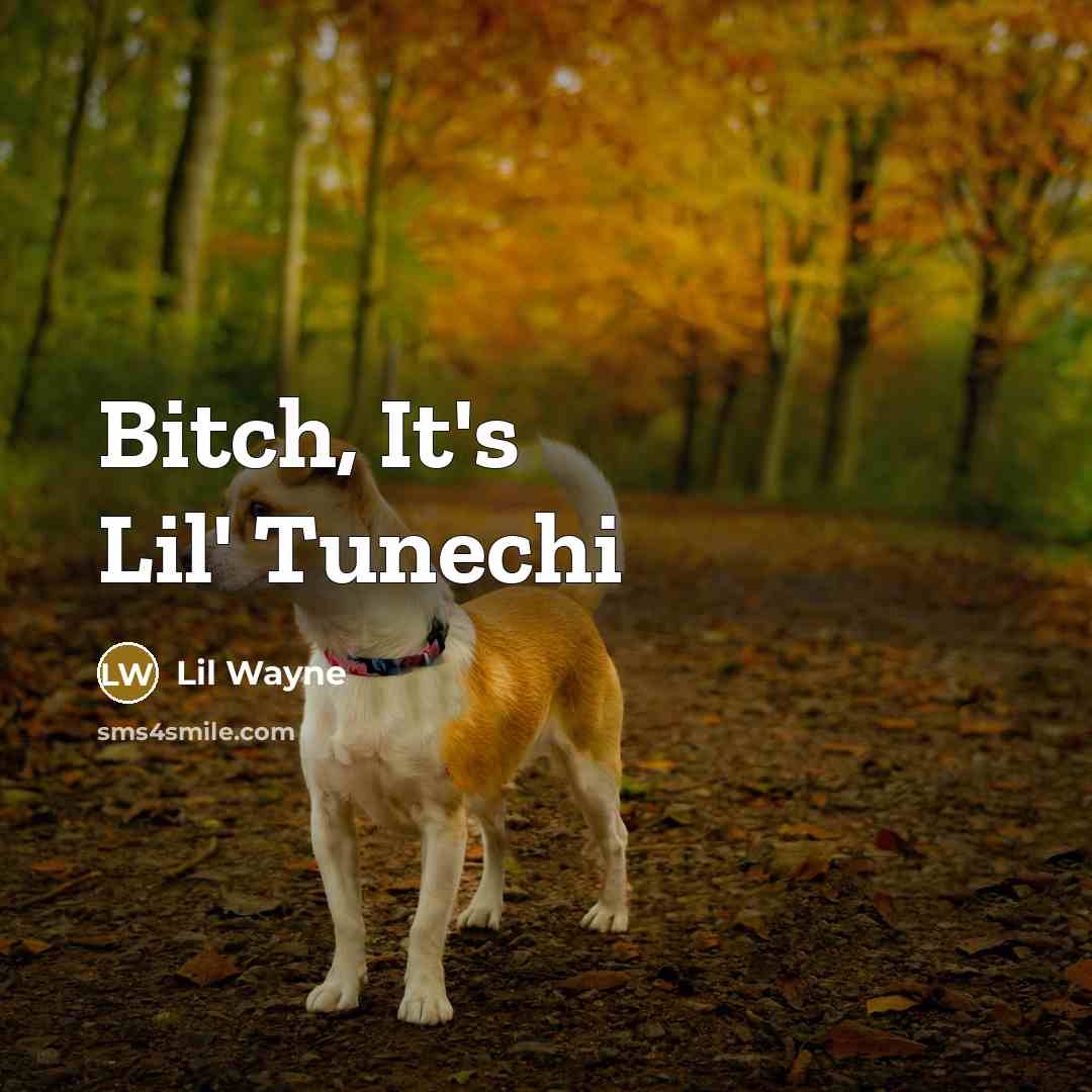 “Bitch, It's Lil' Tunechi…” quote by Lil Wayne