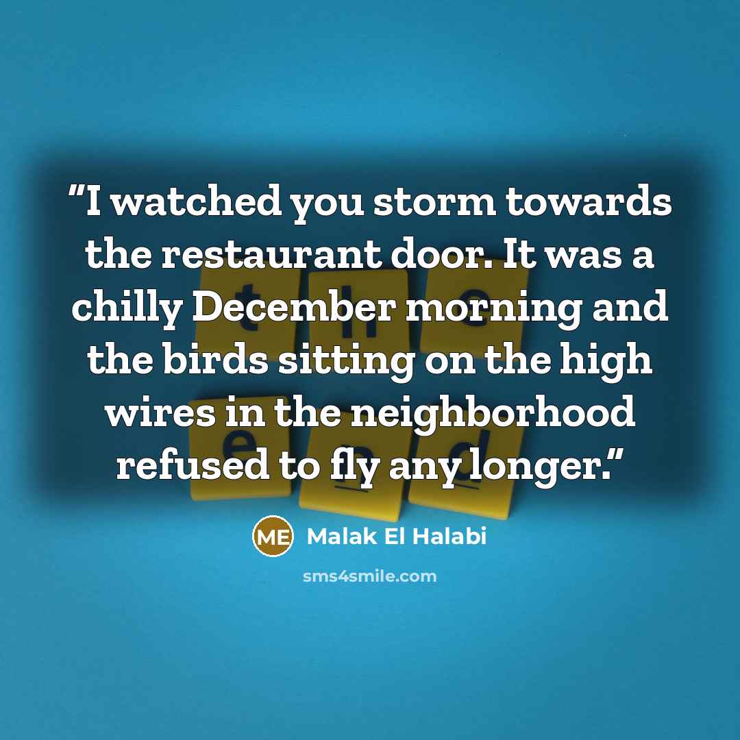 “I watched you storm towards the restaurant door. It was a chilly December morning and the birds sitting on the high wires in the neighborhood refused to fly any longer.” quote by Malak El Halabi
