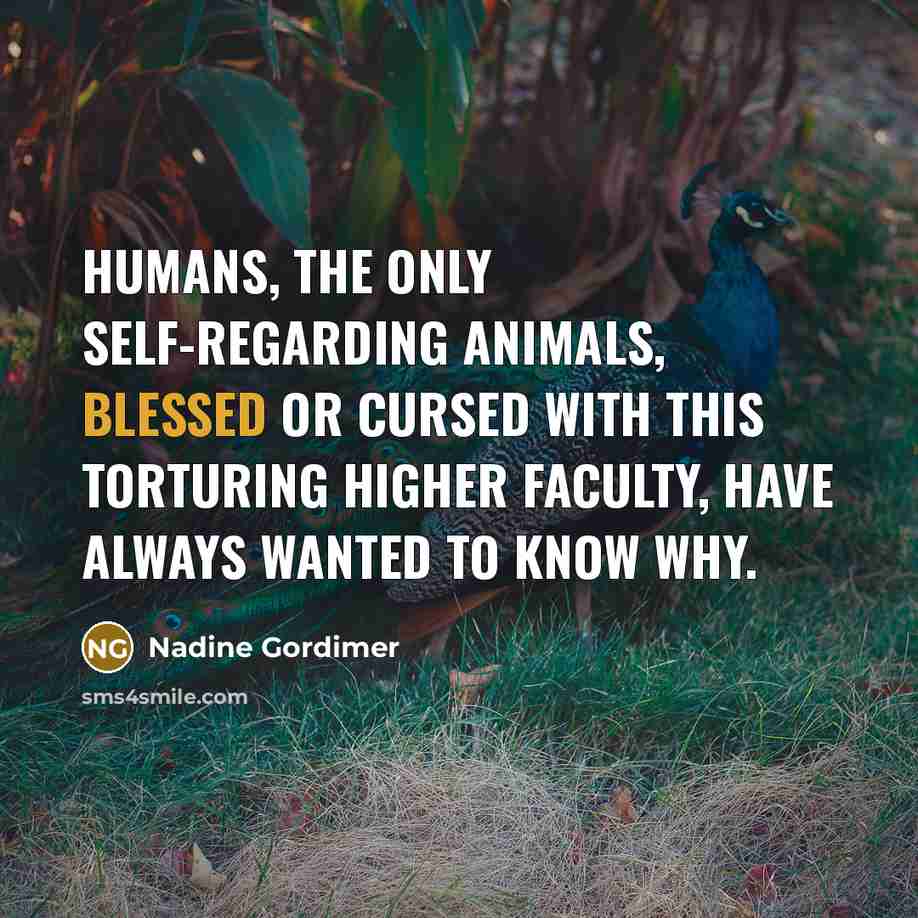 “Humans, the only self-regarding animals, blessed or cursed with this…” quote by Nadine Gordimer