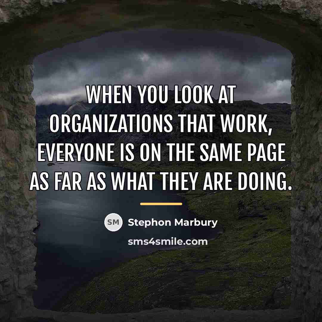 “When you look at organizations that work, everyone is on…” quote by Stephon Marbury
