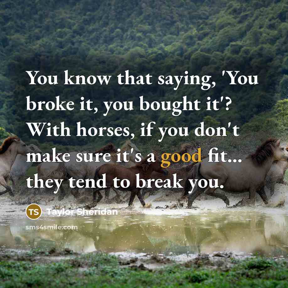 “You know that saying, 'You broke it, you bought it'?…” quote by Taylor Sheridan